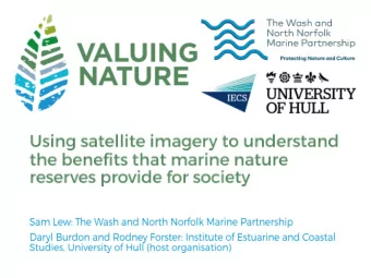 Saltmarsh sub feature  Pioneer marsh (banding)