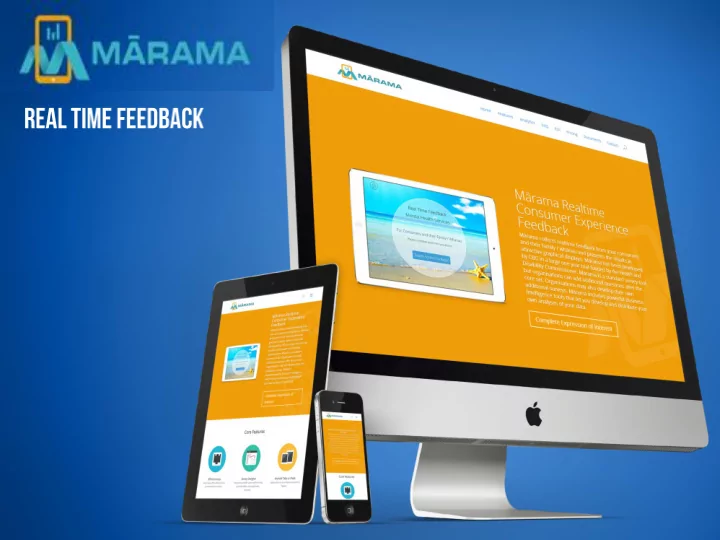 develop an electronic survey system