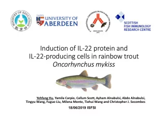 Induction of IL-22 protein and  IL-22-producing cells in rainbow trout  Oncorhynchus mykiss