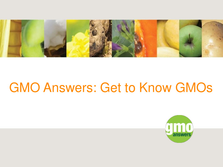 gmo answers get to know gmos introducing gmo answers
