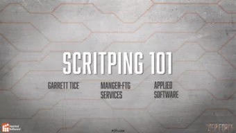 A script is a .COD file that resides within your database  structure, typically within your