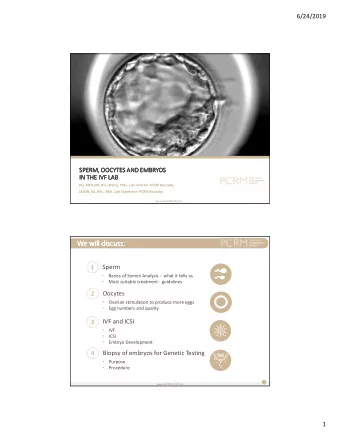 We will discuss:  We will discuss:  We will discuss:  We will discuss:  1  Sperm  Basics of Semen