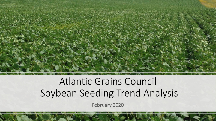 soybean seeding trend analysis