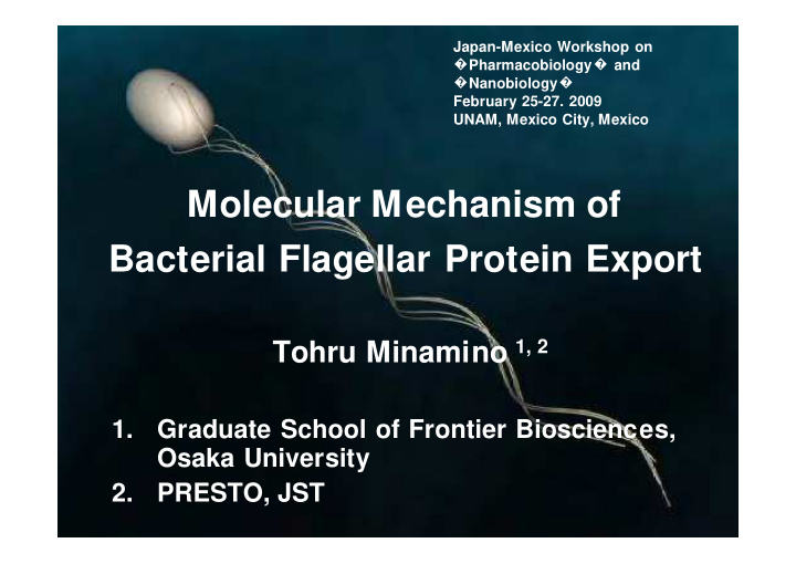 molecular mechanism of bacterial flagellar protein export