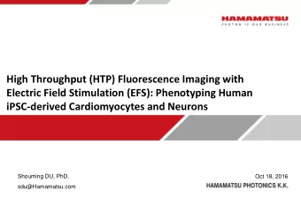 High Throughput (HTP) Fluorescence Imaging with  Electric Field Stimulation (EFS): Phenotyping