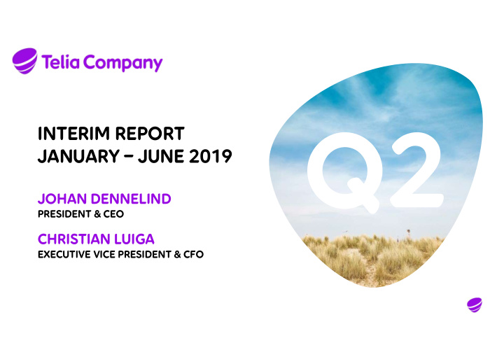 interim report january june 2019