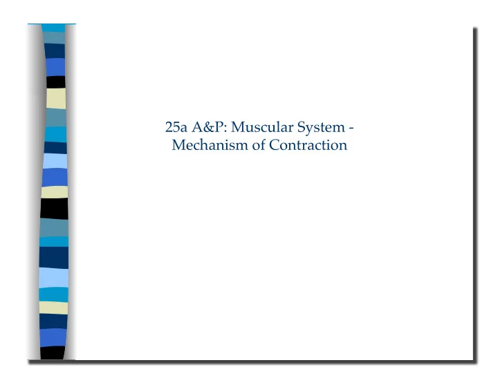 mechanism of contraction 25a a amp p muscular system