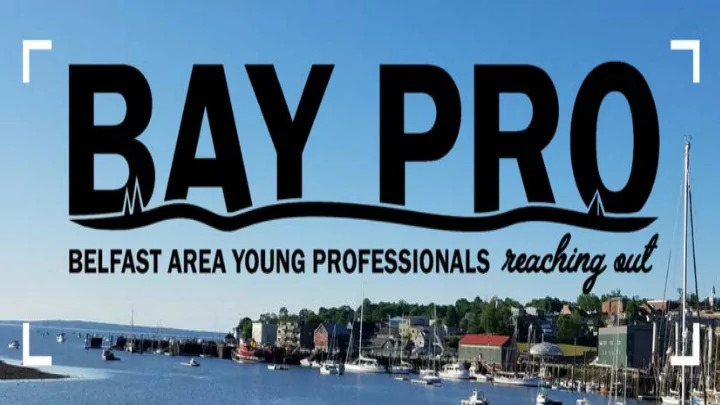 what is baypro