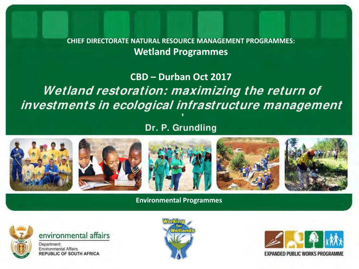 wetland restoration maximizing the return of investments