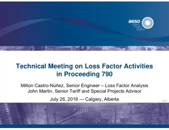 Technical Meeting on Loss Factor Activities  in Proceeding 790  Milton Castro-Nez, Senior