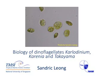 Biology of dinoflagellates Karlodinium , Karenia and Takayama  Sandric Leong  Kareniaceae  The