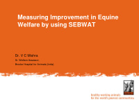 measuring improvement in equine welfare by using sebwat