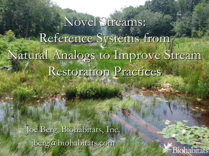 novel streams reference systems from natural analogs to