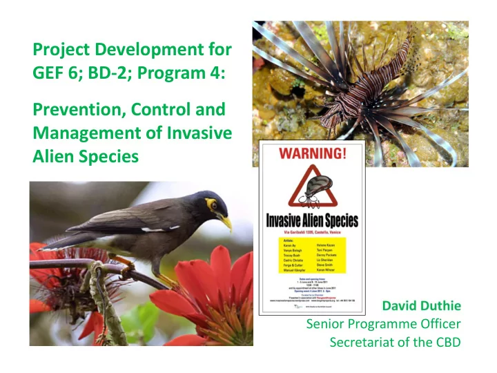 project development for gef 6 bd 2 program 4 prevention