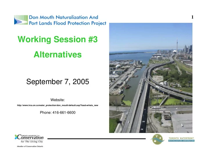 working session 3 alternatives