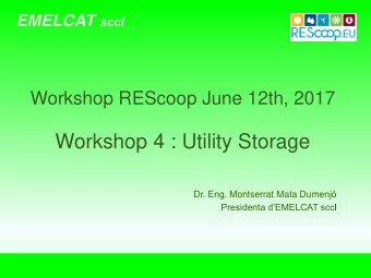 Workshop 4 : Utility Storage  Dr. Eng. Montserrat Mata Dumenj Presidenta dEMELCAT scc l
