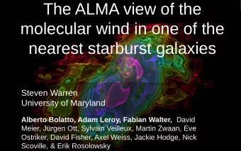 The ALMA view of the  molecular wind in one of the  nearest starburst galaxies  Steven Warren