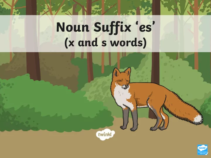 noun suffix es