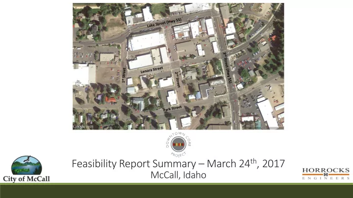 feasibility report summary march 24 th 2017