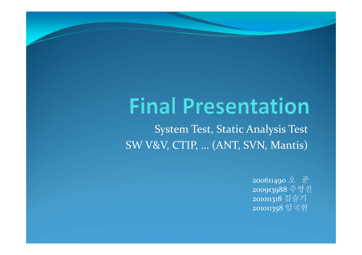 system test static analysis test sw v v ctip ant svn