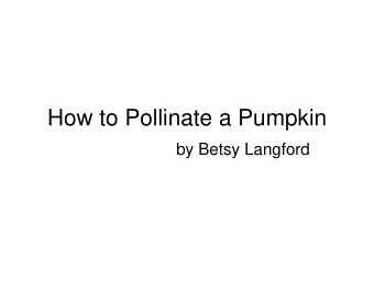 How to Pollinate a Pumpkin  by Betsy Langford  Quick terminology review  Pumpkins are monoecious,