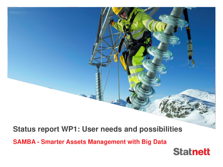 status report wp1 user needs and possibilities