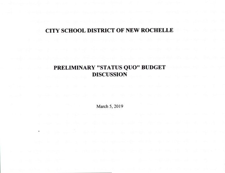 city school district of new rochelle preliminary status