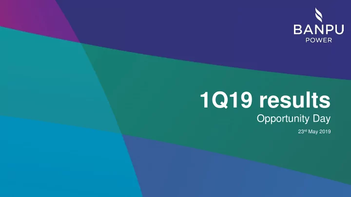 1q19 results