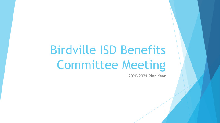 birdville isd benefits committee meeting