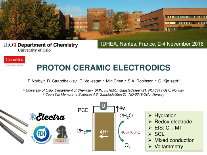 proton ceramic electrodics