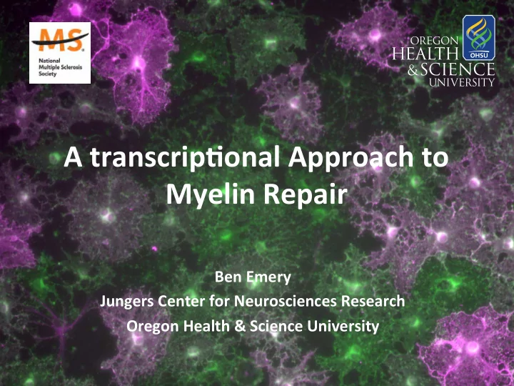 a transcrip onal approach to
