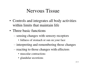 Nervous Tissue  Controls and integrates all body activities  within limits that maintain life