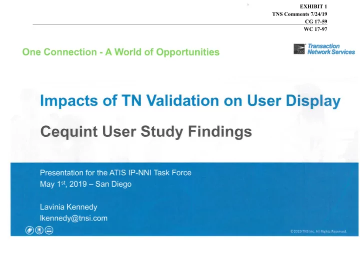exhibit 1 tns comments 7 24 19 cg 17 59 wc 17 97