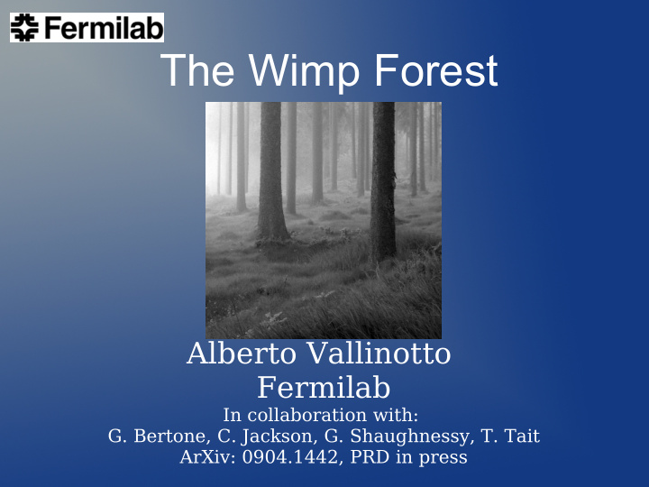 the wimp forest