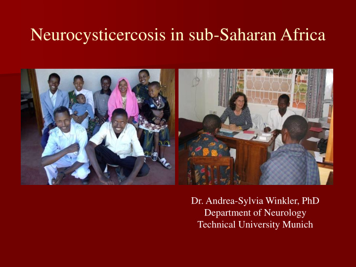neurocysticercosis in sub saharan africa dr andrea sylvia