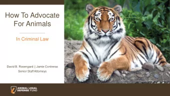 How To Advocate  For Animals  In Criminal Law  David B. Rosengard || Jamie Contreras  Senior Staff