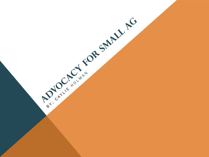 what is advocacy influencing decision makers championing