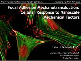 Focal Adhesion Mechanotransduction:  Focal Adhesion Mechanotransduction:  Cellular Response to