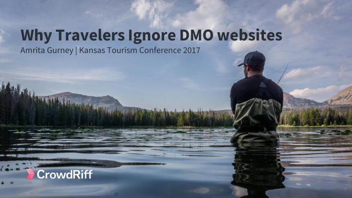 why travelers ignore dmo websites
