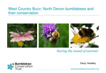 West Country Buzz: North Devon bumblebees and  their conservation  Saving the sound of summer