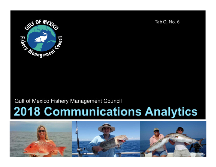 gulf of mexico fishery management council