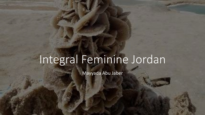 integral feminine jordan