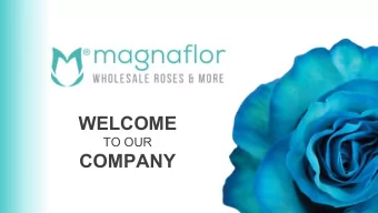 WELCOME  TO OUR  COMPANY  Who are we?  R  Magnaflor is an Ecuadorian Company with 9 years of