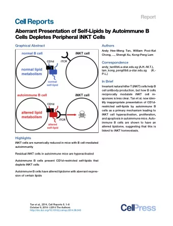 Aberrant Presentation of Self-Lipids by Autoimmune B  Cells Depletes Peripheral iNKT Cells