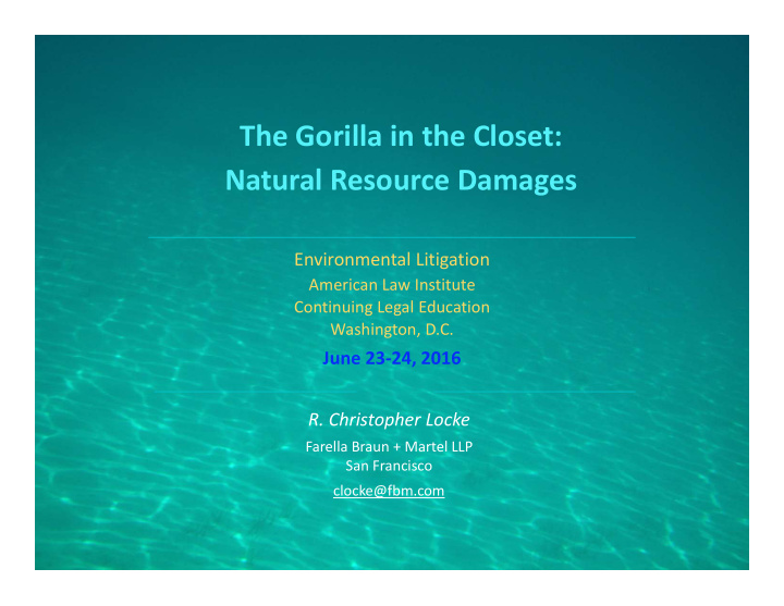 the gorilla in the closet natural resource damages