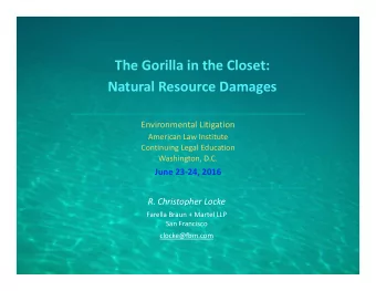 The Gorilla in the Closet: Natural Resource Damages Environmental Litigation American Law Institute