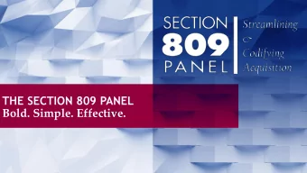 THE SECTION 809 PANEL  Bold. Simple. Effective.  Disclaimer  Introduction to the  Section 809 Panel