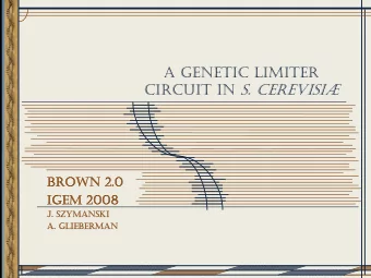 A GENETIC LIMITER CIRCUIT IN S. CEREVISI  BROWN 2.0  BROWN 2.0  IGEM  IGEM 2008  2008  J.