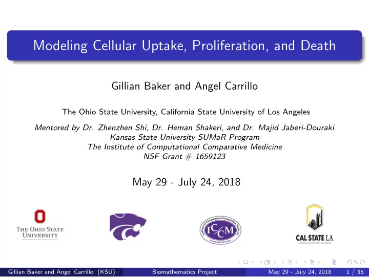 modeling cellular uptake proliferation and death