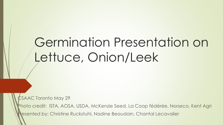 lettuce onion leek